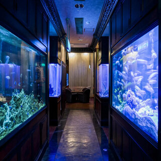 サントリーバー＆ダイニング 北新地 水響亭/3471の画像