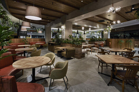 パスタの日 ららぽーと湘南平塚店の画像