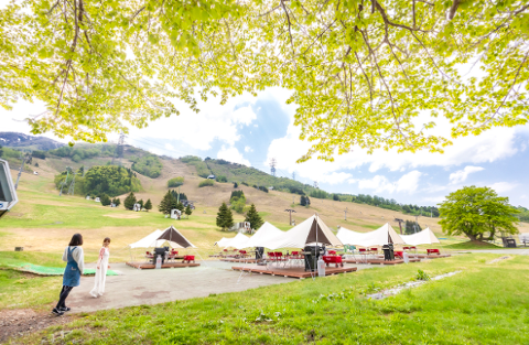 Cafe & BBQ苗場たき火フィールドの画像