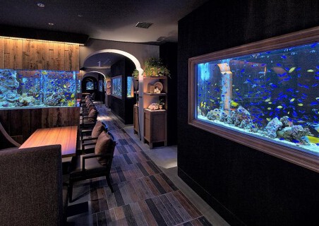 アクアリウム＆魚イタリアン心斎橋ライムの画像