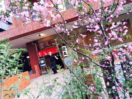 鷹丸の画像