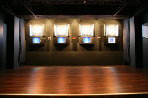 BULLSHOOTER ELEVENの画像