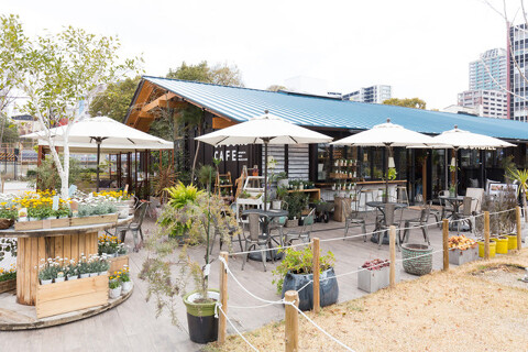 SPOONS CAFE SPOONBILL 天王寺店の画像