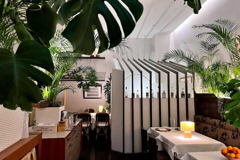 Du Vin HACHISCHの画像