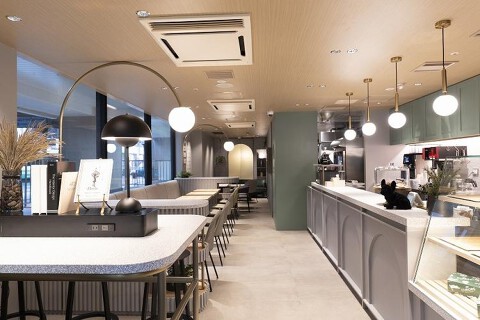 クロレ エミル高槻店の画像