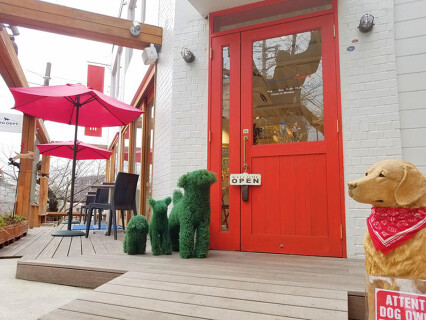 DOG DEPT CAFE　横浜 港の見える丘公園店の画像