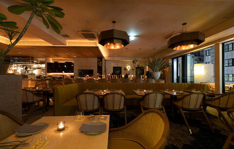 Alan. -latin diner&burn-の画像