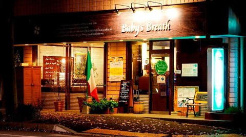 Baby's Breathの画像