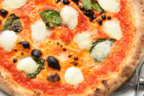 CACTUS D'OROの画像