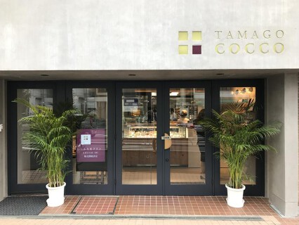 TAMAGO COCCOの画像