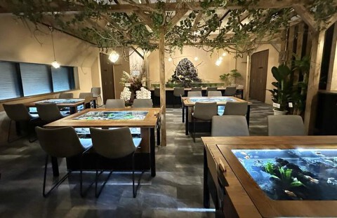 京都金魚カフェ ぷくぷくの森の画像