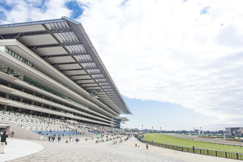 KASUYA東京競馬場店の画像