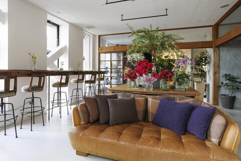 ニコと花の画像