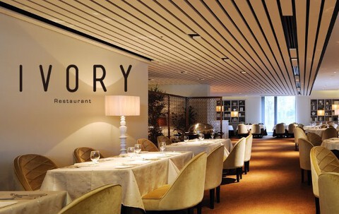 ＩＶＯＲＹ　[005]の画像