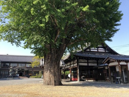 D&DEPARTMENT d食堂京都の画像