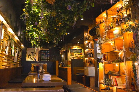 Dining Zapotの画像