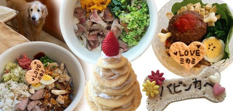 キッチンドッグ！の画像