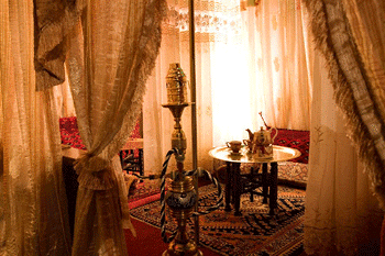 ネフェルティティ東京の画像