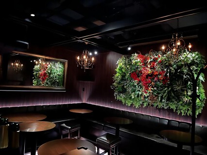 Bar Germerの画像