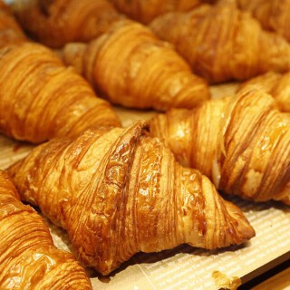 GREEN THUMBの画像