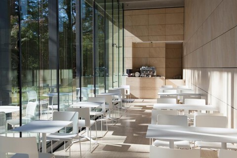 cafe TEIEN （カフェ庭園）の画像