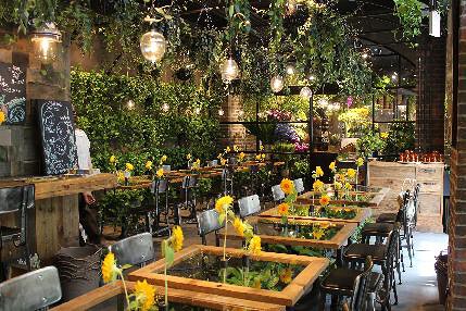 青山フラワーマーケットTEAHOUSEの画像