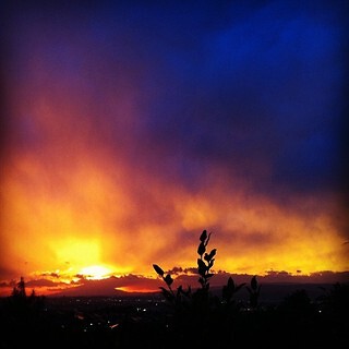 レストラン＆ガーデン ちょうちょの画像