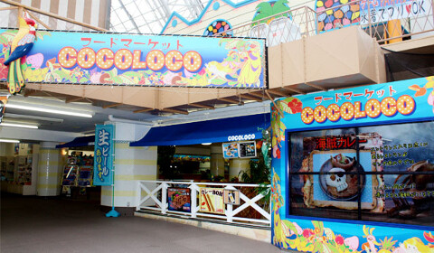 ココロコの画像