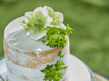 アクアデヴュー佐賀スィートテラス の画像