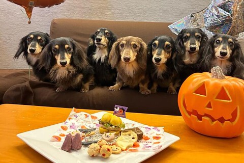 one two Skipの画像