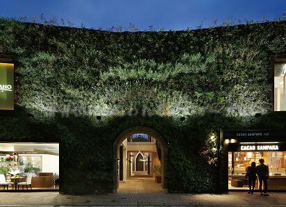 CANOVIANO AOYAMAの画像