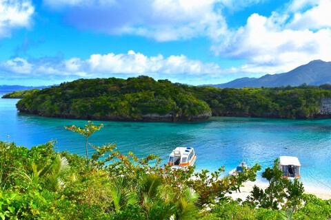 雪塩ステーキの画像