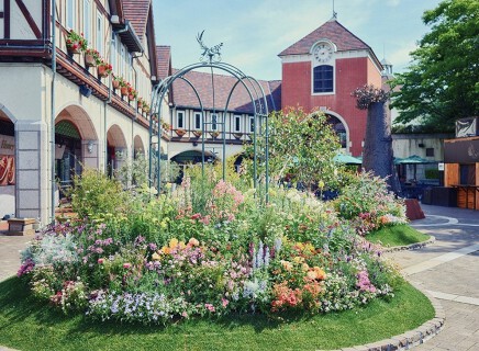 ザ・ハーブダイニング ～神戸布引ハーブ園内レストラン～の画像