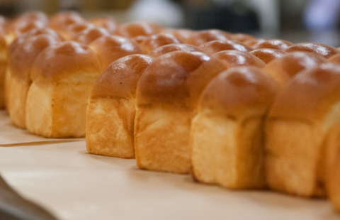 タマヤパンの画像