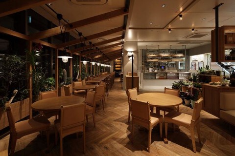 SAN TROPEZの画像