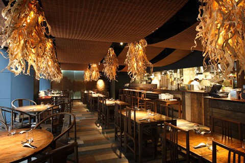 巴馬ロハスカフェの画像