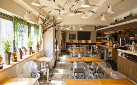 Cafe＆Lounge MICROCOSMOSの画像