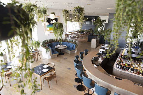  Restaurant THE MOON の画像