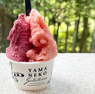 山里のジェラテリア山猫の画像