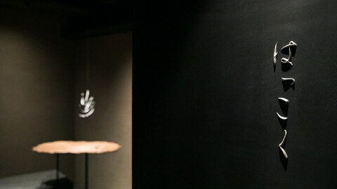 はっこくの画像