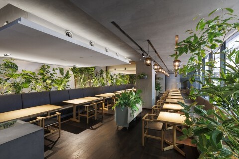 GOOD NATURE STATION 『Hyssop』の画像