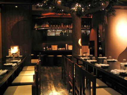 ぼだい樹の画像