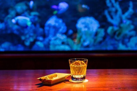 ショットバーアクアリウムの画像