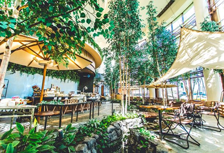 ホテルマイステイズプレミア札幌パークの画像