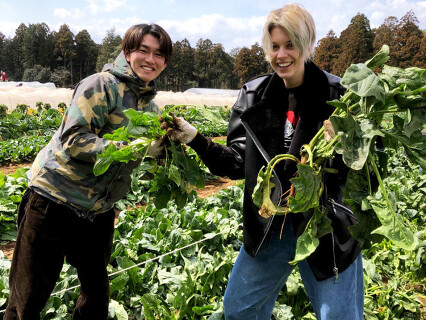 ギンザ オリーバルの画像