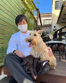 D-PEPEの画像