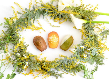 Madeleine Lapin　二子玉川店の画像