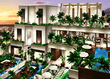 表参道TERRACEの画像