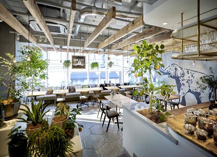 NAAK CAFEの画像
