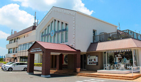 葉山わさびの画像